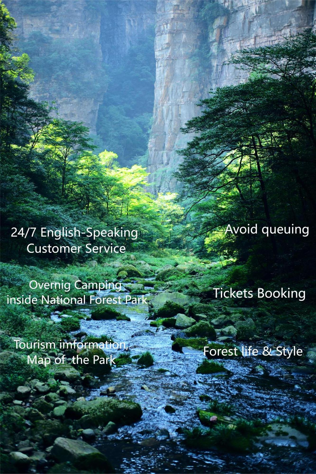 Zhangjiajie National Forest Park Camping Eksteriør billede