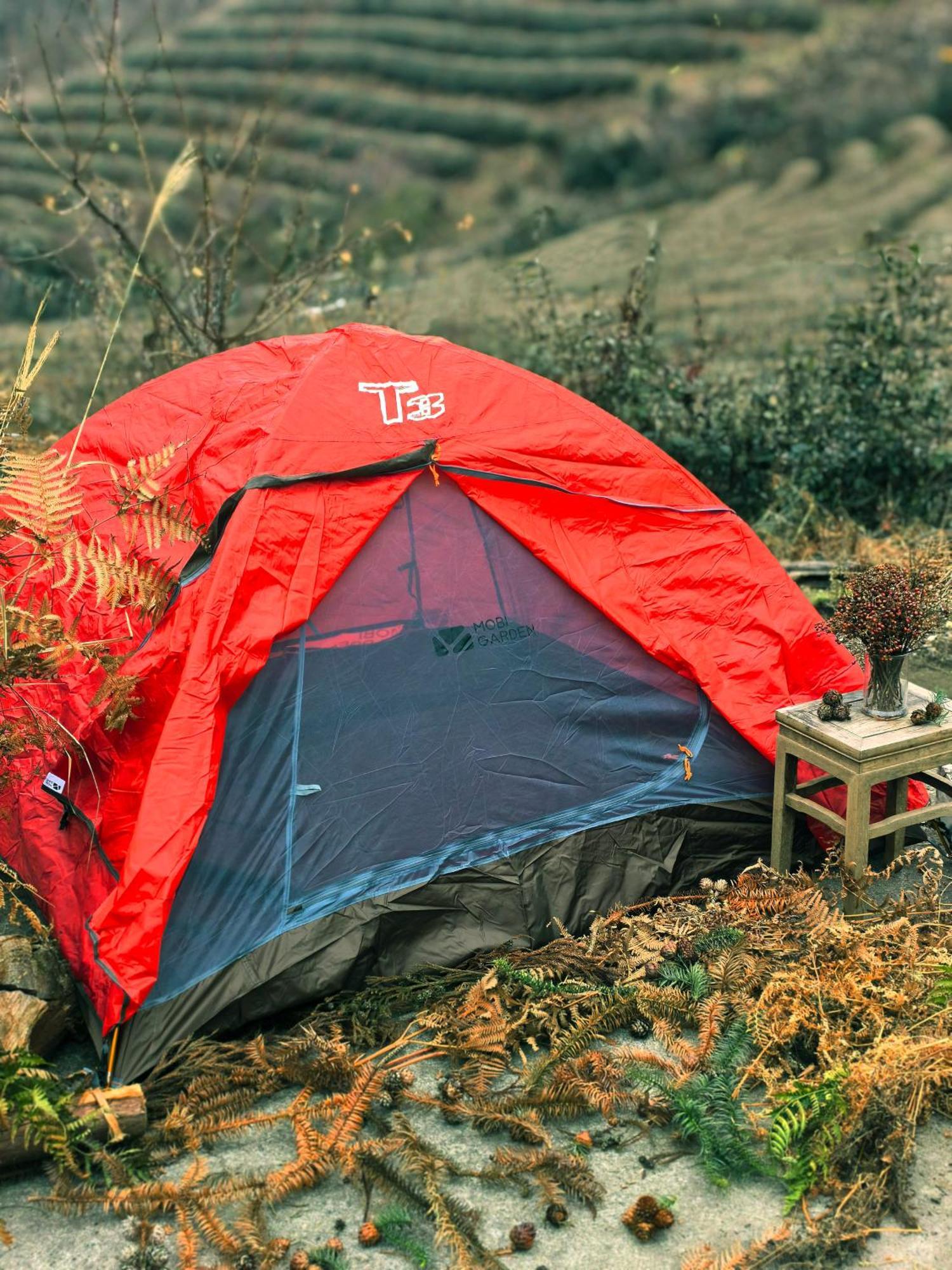 Zhangjiajie National Forest Park Camping Eksteriør billede