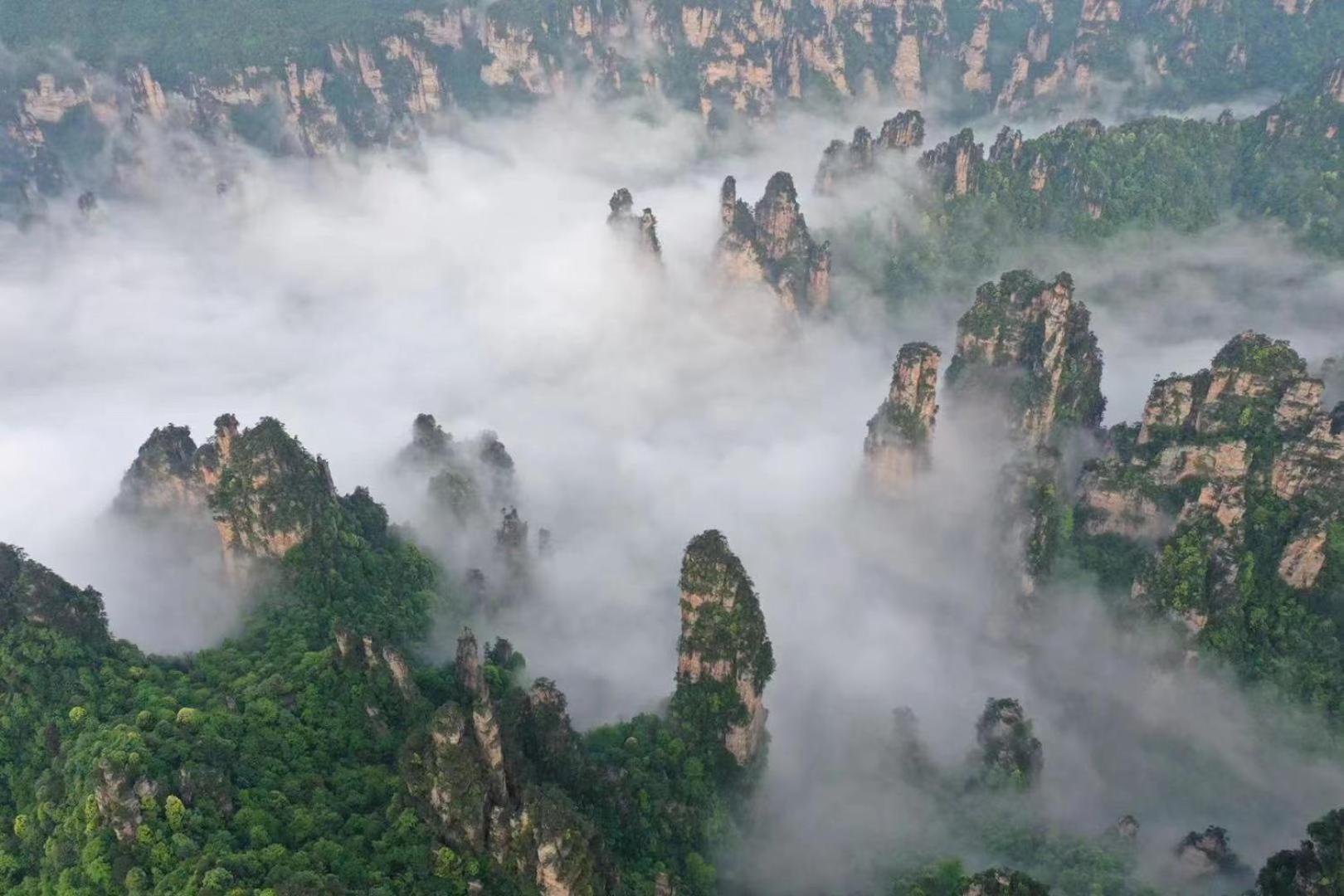 Zhangjiajie National Forest Park Camping Eksteriør billede