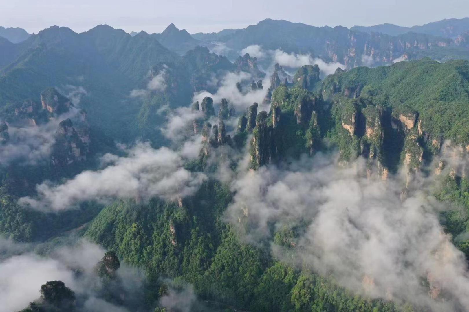 Zhangjiajie National Forest Park Camping Eksteriør billede
